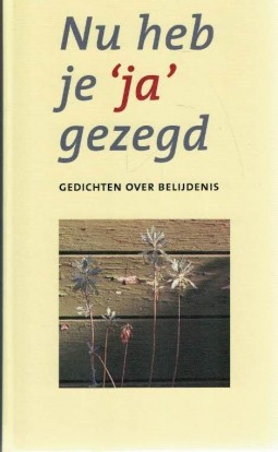 Groeneweg De Reuver M A Geloven Zonder Zien Gedichten Webshop Tolle Lege Voor Het